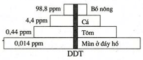 Trắc nghiệm Sinh học 12 Bài 1 (có đáp án): Gen, mã di truyền và quá trình nhân đôi ADN