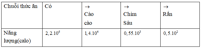 Trắc nghiệm Sinh học 12 Bài 1 (có đáp án): Gen, mã di truyền và quá trình nhân đôi ADN