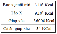 Trắc nghiệm Sinh học 12 Bài 1 (có đáp án): Gen, mã di truyền và quá trình nhân đôi ADN