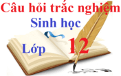 Bài tập trắc nghiệm Sinh học 12 | Câu hỏi trắc nghiệm Sinh học 12