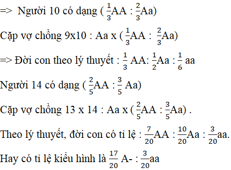 Bài tập trắc nghiệm Sinh học 12 | Câu hỏi trắc nghiệm Sinh học 12 có đáp án