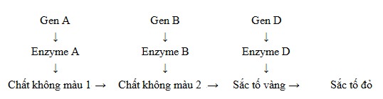 TƯƠNG TÁC GEN