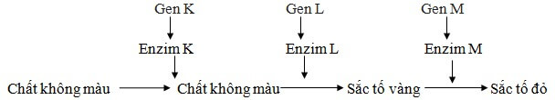 TƯƠNG TÁC GEN