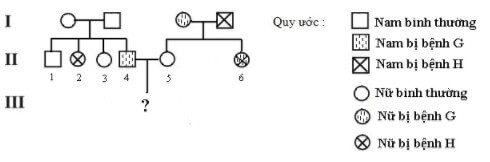 DI TRUYỀN Y HỌC