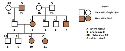 DI TRUYỀN Y HỌC