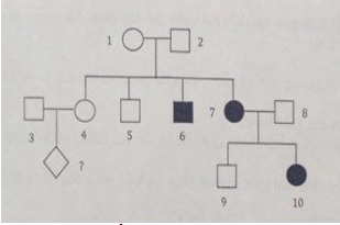 DI TRUYỀN Y HỌC