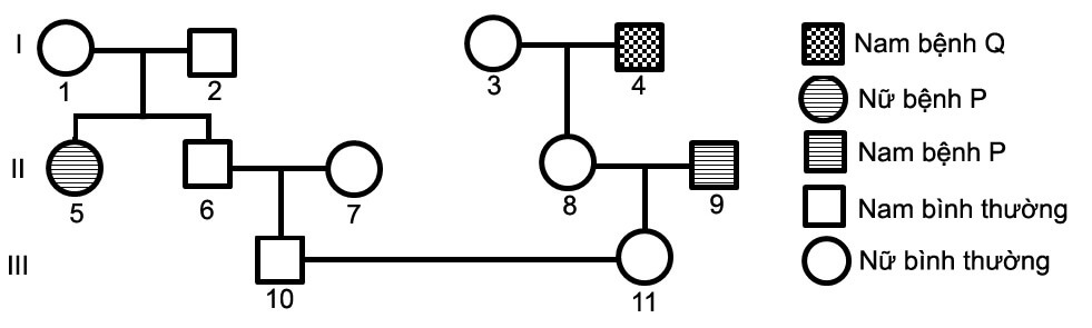 DI TRUYỀN Y HỌC