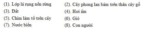 MÔI TRƯỜNG SỐNG VÀ CÁC NHÂN TỐ SINH THÁI