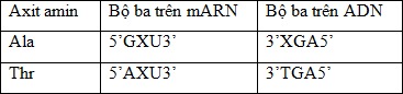 ĐỘT BIẾN GEN