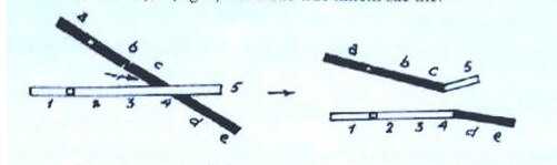 NHIỄM SẮC THỂ VÀ ĐỘT BIẾN CẤU TRÚC NST