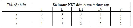 ĐỘT BIẾN SỐ LƯỢNG NST - ĐỘT BIẾN LỆCH BỘI