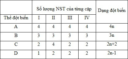 ĐỘT BIẾN SỐ LƯỢNG NST - ĐỘT BIẾN LỆCH BỘI