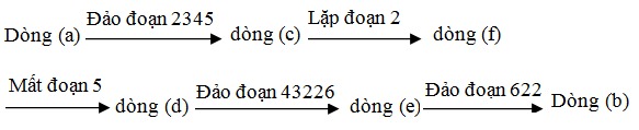 ÔN TẬP CHƯƠNG 6 – BẰNG CHỨNG VÀ CƠ CHẾ TIẾN HÓA