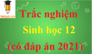 Bộ câu hỏi trắc nghiệm Sinh học 12 có đáp án năm 2024