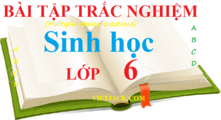 Bài tập trắc nghiệm Sinh học 6 | Câu hỏi trắc nghiệm Sinh học 6