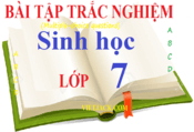 Bài tập trắc nghiệm Sinh học 7 có đáp án | Câu hỏi trắc nghiệm Sinh học 7 có đáp án