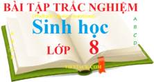 Bài tập trắc nghiệm Sinh học 8 | Câu hỏi trắc nghiệm Sinh học 8