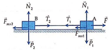  24 câu trắc nghiệm Ba định luật Niu - Tơn cực hay có đáp án (phần 2) 