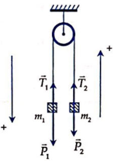  24 câu trắc nghiệm Ba định luật Niu - Tơn cực hay có đáp án (phần 2) 