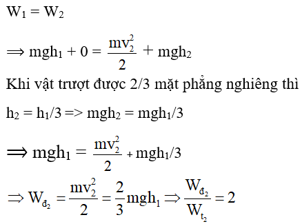  15 câu trắc nghiệm Cơ năng cực hay có đáp án 