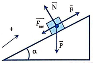  25 câu trắc nghiệm Công và công suất cực hay có đáp án (phần 2) 