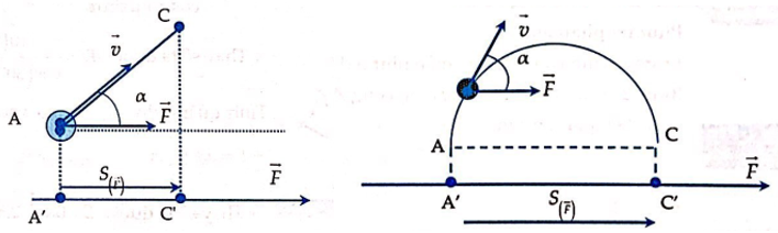  25 câu trắc nghiệm Công và công suất cực hay có đáp án (phần 2) 