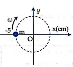  27 câu trắc nghiệm Động lượng - Định luật bảo toàn động lượng cực hay có đáp án (phần 2) 