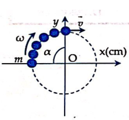  27 câu trắc nghiệm Động lượng - Định luật bảo toàn động lượng cực hay có đáp án (phần 2) 