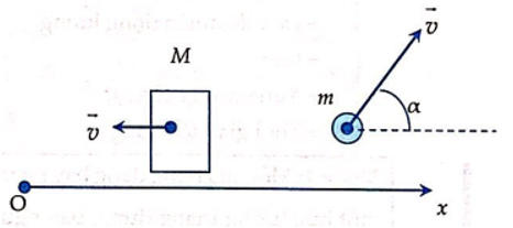  27 câu trắc nghiệm Động lượng - Định luật bảo toàn động lượng cực hay có đáp án (phần 2) 