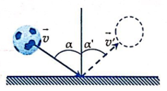  27 câu trắc nghiệm Động lượng - Định luật bảo toàn động lượng cực hay có đáp án (phần 2) 