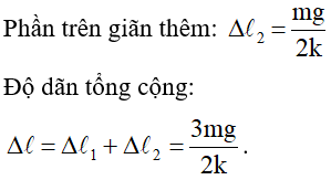  15 câu trắc nghiệm Lực đàn hồi của lò xo - Định luật húc cực hay có đáp án 