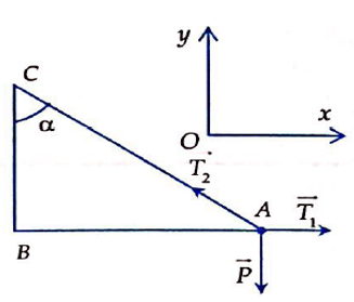  20 câu trắc nghiệm Ôn tập Chương 2 cực hay có đáp án (phần 2) 