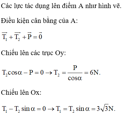  20 câu trắc nghiệm Ôn tập Chương 2 cực hay có đáp án (phần 2) 