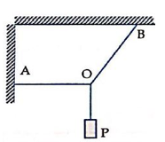  20 câu trắc nghiệm Ôn tập Chương 2 cực hay có đáp án (phần 2) 