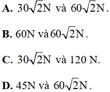  20 câu trắc nghiệm Ôn tập Chương 2 cực hay có đáp án (phần 2) 