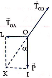  20 câu trắc nghiệm Ôn tập Chương 2 cực hay có đáp án (phần 2) 