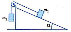  20 câu trắc nghiệm Ôn tập Chương 2 cực hay có đáp án (phần 2) 