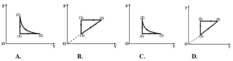  15 câu trắc nghiệm Ôn tập Chương 5 cực hay có đáp án 