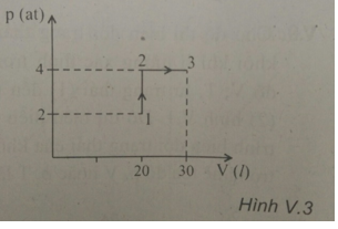  15 câu trắc nghiệm Ôn tập Chương 5 cực hay có đáp án 