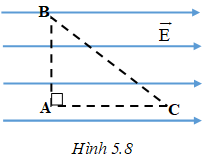 Bài tập trắc nghiệm Vật Lí 11 | Câu hỏi trắc nghiệm Vật Lí 11 có đáp án