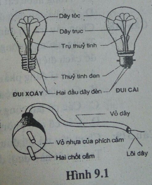 Bài tập trắc nghiệm Vật Lí 7 | Câu hỏi trắc nghiệm Vật Lí 7