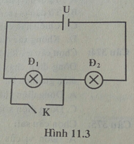 Bài tập trắc nghiệm Vật Lí 7 | Câu hỏi trắc nghiệm Vật Lí 7