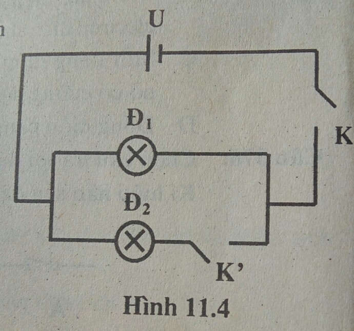 Bài tập trắc nghiệm Vật Lí 7 | Câu hỏi trắc nghiệm Vật Lí 7