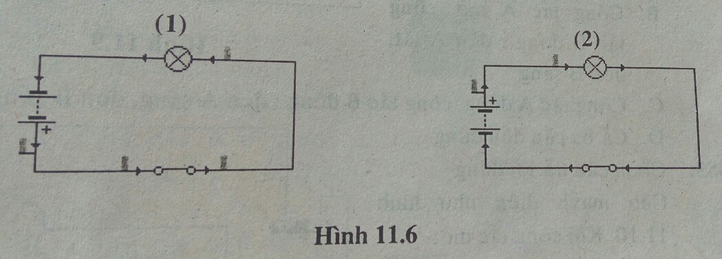 Bài tập trắc nghiệm Vật Lí 7 | Câu hỏi trắc nghiệm Vật Lí 7