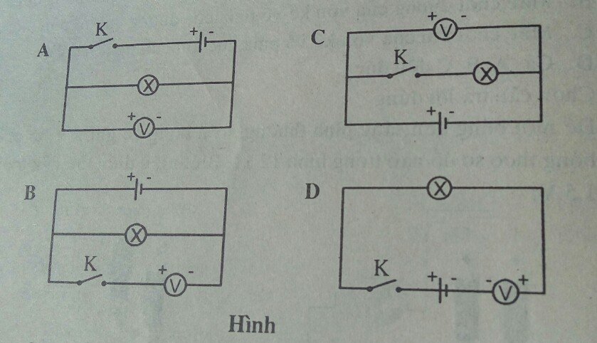 Bài tập trắc nghiệm Vật Lí 7 | Câu hỏi trắc nghiệm Vật Lí 7