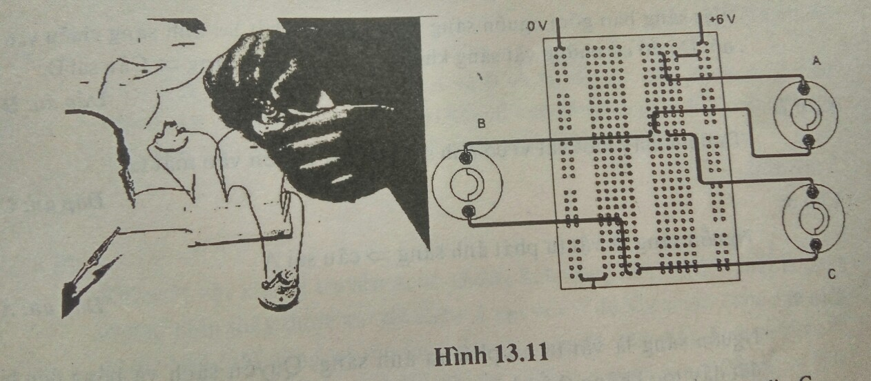 Bài tập trắc nghiệm Vật Lí 7 | Câu hỏi trắc nghiệm Vật Lí 7