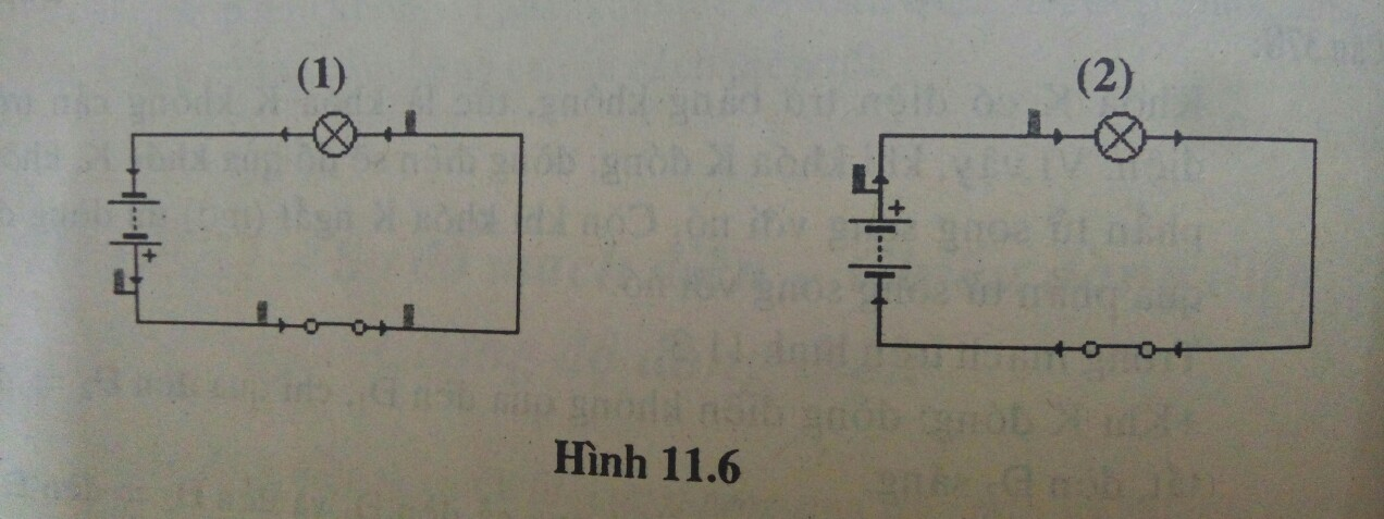 Bài tập trắc nghiệm Vật Lí 7 | Câu hỏi trắc nghiệm Vật Lí 7