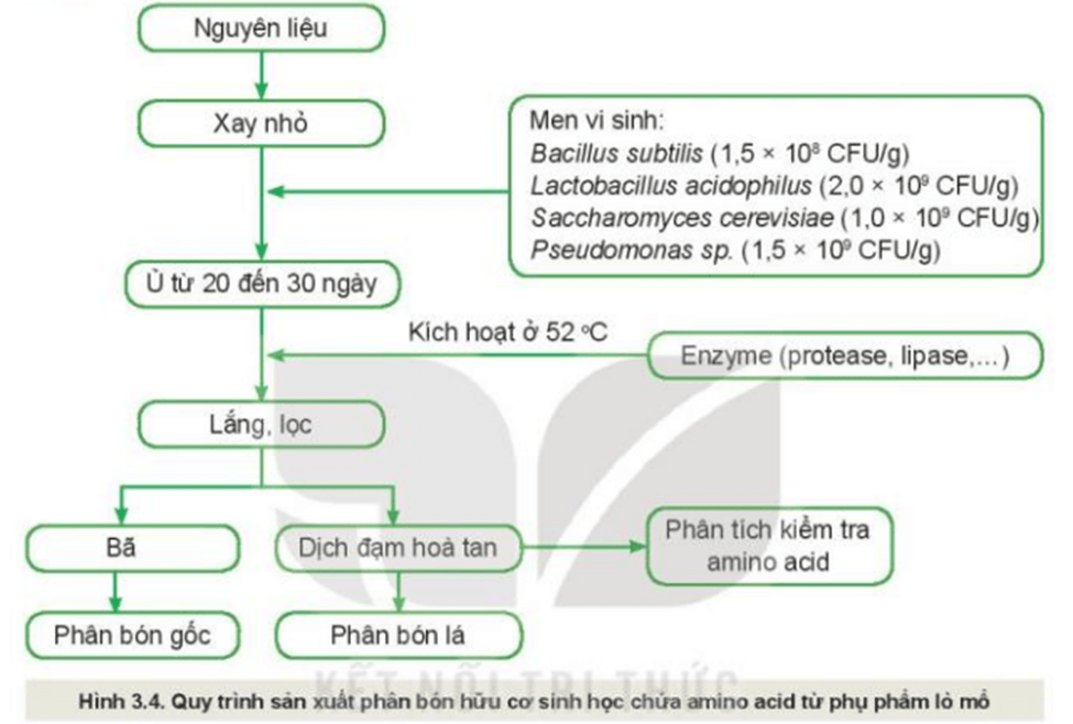 Quan sát Hình 3.4 và mô tả quy trình sản xuất phân bón hữu cơ sinh học chứa amino acid