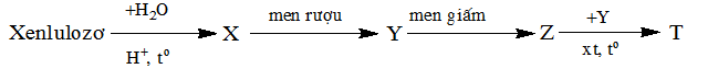 Chuyên đề Hóa học lớp 11