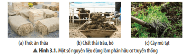 Từ những nguyên liệu trong Hình 3.1 có thể sản xuất loại phân hữu cơ truyền thống nào